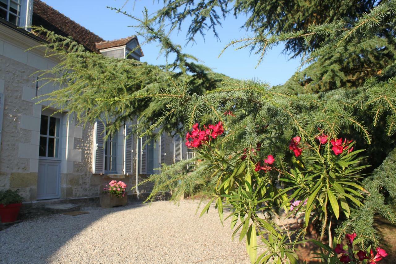 Bed and Breakfast Bella Simonetta Francueil Экстерьер фото